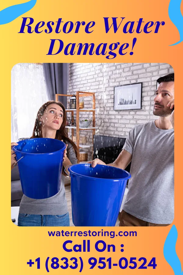 water restoration Sterling Water Removal Pros Flanders