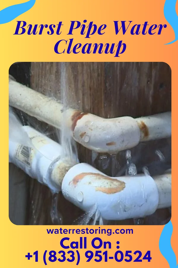 Burst Pipe Water Cleanup in Flanders, NY