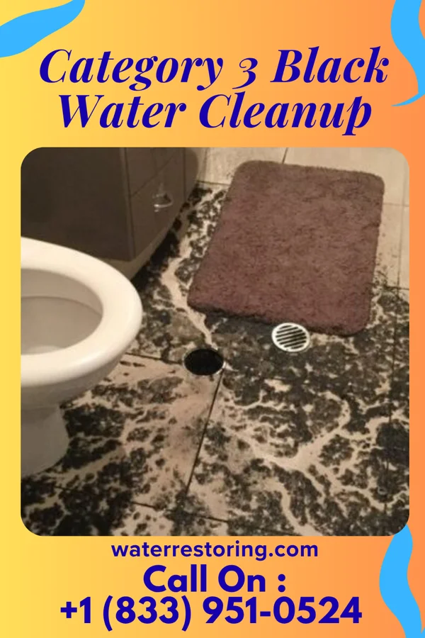 Category 3 Black Water Cleanup in Flanders, NY