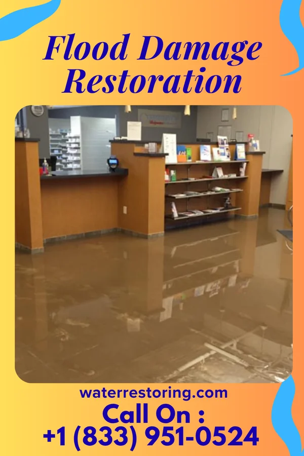 Flood Damage Restoration in Flanders, NY