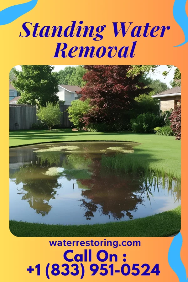 Standing Water Removal in Flanders, NY